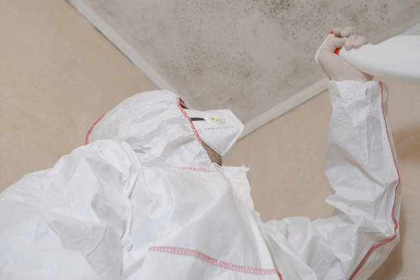 Best Emergency Mold Removal  in Chardon, OH